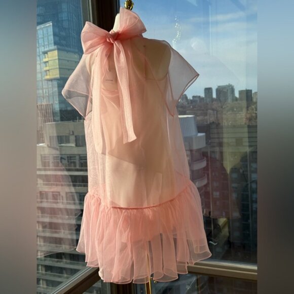 🆕 SIMKHAI 🧿 NWT Beaux Tiered Babydoll Mini Dress, Ballet Pink - Sz US 6 - Picture 7 of 16
